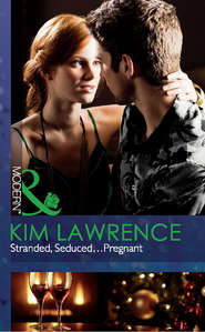 бесплатно читать книгу Stranded, Seduced...Pregnant автора Ким Лоренс