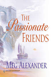 бесплатно читать книгу The Passionate Friends автора Meg Alexander