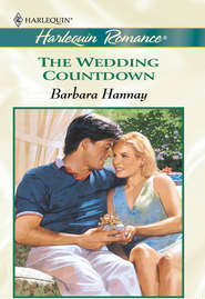 бесплатно читать книгу The Wedding Countdown автора Barbara Hannay