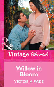 бесплатно читать книгу Willow in Bloom автора Victoria Pade