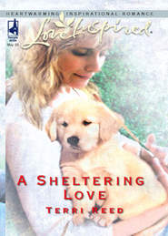 бесплатно читать книгу A Sheltering Love автора Terri Reed