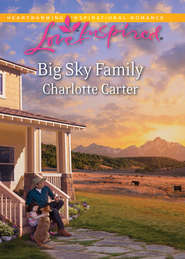 бесплатно читать книгу Big Sky Family автора Charlotte Carter