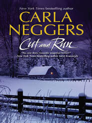 бесплатно читать книгу Cut And Run автора Carla Neggers