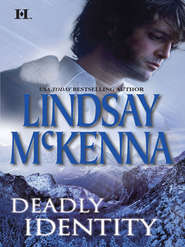 бесплатно читать книгу Deadly Identity автора Lindsay McKenna