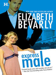 бесплатно читать книгу Express Male автора Elizabeth Bevarly