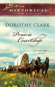 бесплатно читать книгу Prairie Courtship автора Dorothy Clark