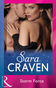 бесплатно читать книгу Storm Force автора Сара Крейвен