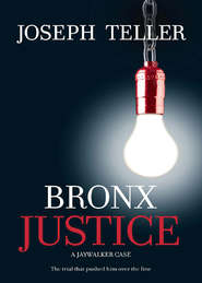 бесплатно читать книгу Bronx Justice автора Joseph Teller