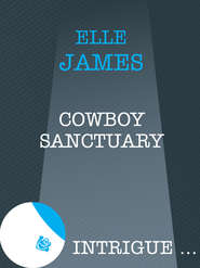бесплатно читать книгу Cowboy Sanctuary автора Elle James