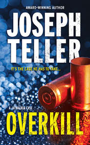 бесплатно читать книгу Overkill автора Joseph Teller