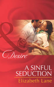 бесплатно читать книгу A Sinful Seduction автора Elizabeth Lane