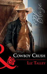 бесплатно читать книгу Cowboy Crush автора Liz Talley