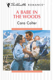 бесплатно читать книгу A Babe In The Woods автора Cara Colter