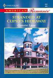 бесплатно читать книгу Stranded At Cupid's Hideaway автора Connie Lane