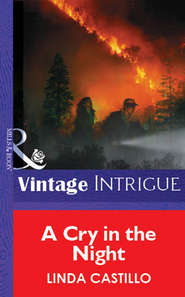 бесплатно читать книгу A Cry In The Night автора Linda Castillo