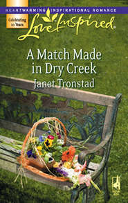 бесплатно читать книгу A Match Made in Dry Creek автора Janet Tronstad