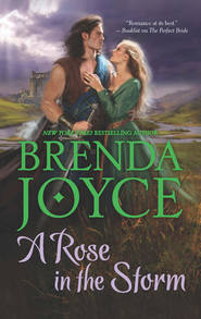 бесплатно читать книгу A Rose in the Storm автора Бренда Джойс