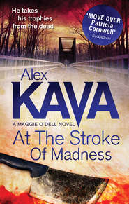 бесплатно читать книгу At The Stroke Of Madness автора Alex Kava