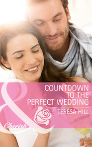 бесплатно читать книгу Countdown to the Perfect Wedding автора Teresa Hill