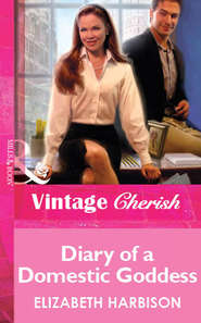 бесплатно читать книгу Diary of a Domestic Goddess автора Elizabeth Harbison