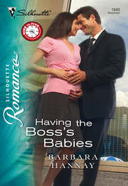 бесплатно читать книгу Having the Boss's Babies автора Barbara Hannay