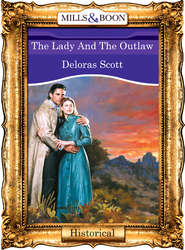 бесплатно читать книгу The Lady And The Outlaw автора Deloras Scott