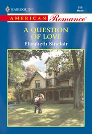 бесплатно читать книгу A Question Of Love автора Elizabeth Sinclair