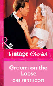 бесплатно читать книгу Groom On The Loose автора Christine Scott