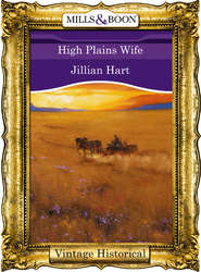 бесплатно читать книгу High Plains Wife автора Jillian Hart