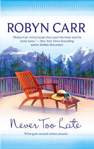 бесплатно читать книгу Never Too Late автора Робин Карр