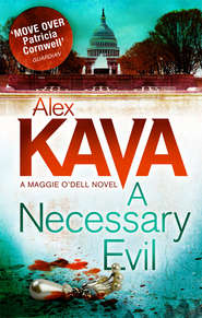 бесплатно читать книгу A Necessary Evil автора Alex Kava
