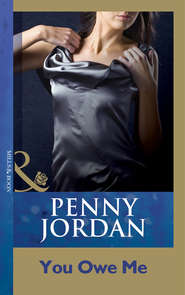 бесплатно читать книгу You Owe Me автора Пенни Джордан