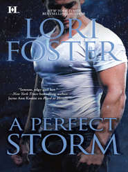 бесплатно читать книгу A Perfect Storm автора Lori Foster