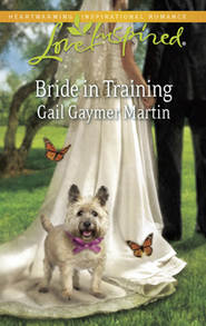 бесплатно читать книгу Bride in Training автора Gail Martin