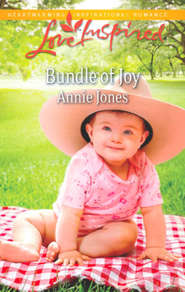 бесплатно читать книгу Bundle of Joy автора Annie Jones