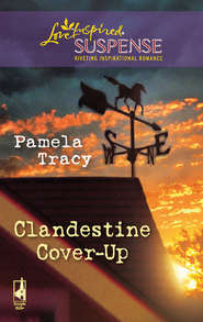 бесплатно читать книгу Clandestine Cover-Up автора Pamela Tracy