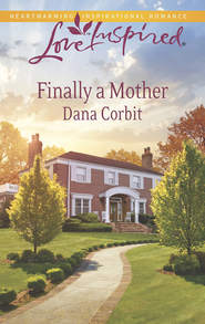 бесплатно читать книгу Finally a Mother автора Dana Corbit