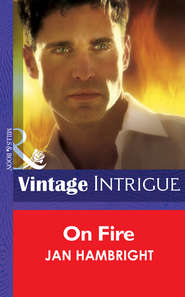 бесплатно читать книгу On Fire автора Jan Hambright