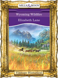 бесплатно читать книгу Wyoming Wildfire автора Elizabeth Lane
