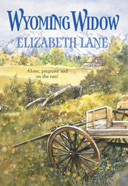 бесплатно читать книгу Wyoming Widow автора Elizabeth Lane