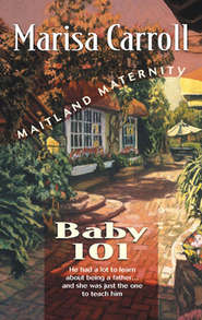 бесплатно читать книгу Baby 101 автора Marisa Carroll