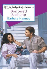 бесплатно читать книгу Borrowed Bachelor автора Barbara Hannay