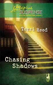 бесплатно читать книгу Chasing Shadows автора Terri Reed