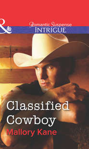 бесплатно читать книгу Classified Cowboy автора Mallory Kane