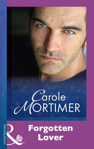 бесплатно читать книгу Forgotten Lover автора Кэрол Мортимер