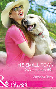 бесплатно читать книгу His Small-Town Sweetheart автора Amanda Berry