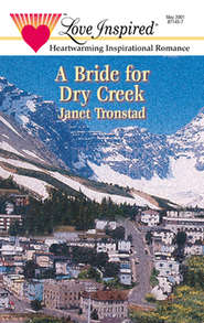 бесплатно читать книгу A Bride for Dry Creek автора Janet Tronstad