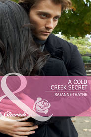 бесплатно читать книгу A Cold Creek Secret автора RaeAnne Thayne