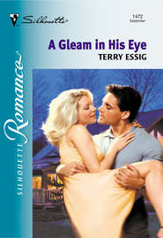 бесплатно читать книгу A Gleam In His Eye автора Terry Essig