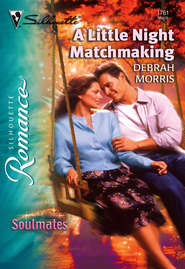 бесплатно читать книгу A Little Night Matchmaking автора Debrah Morris
